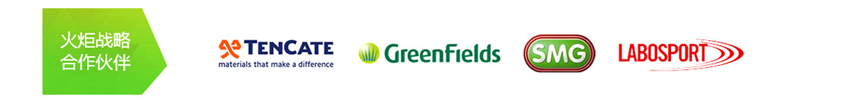 火炬戰略合作伙伴